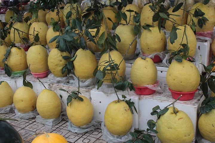 Big prices for giant Ky Da pomelo on sale in Hanoi