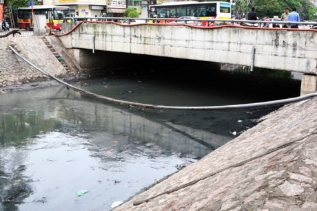 Hanoi to cooperate with Hungary to purify lakes