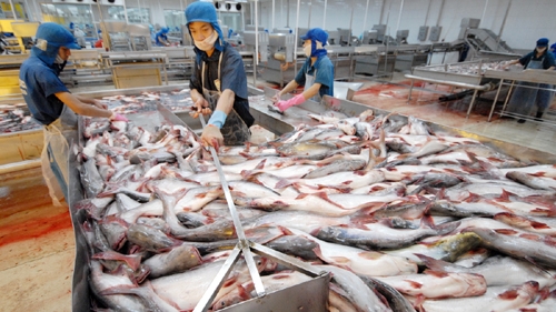 Tra fish distribution centre shaping at Belgian harbour