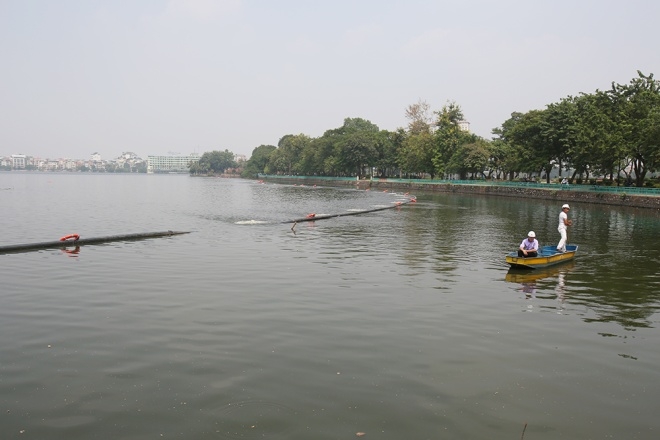 Hanoi lake returns to life after mass fish deaths