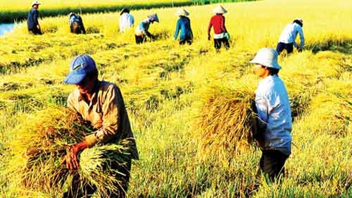 FTAs expose agri sector to cold winds of change