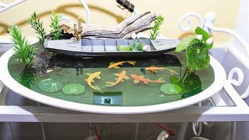 The art of making 3D fish paintings