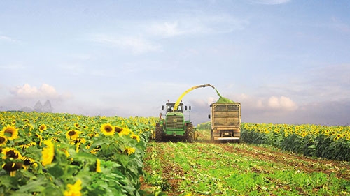 Agri sector primed for investment