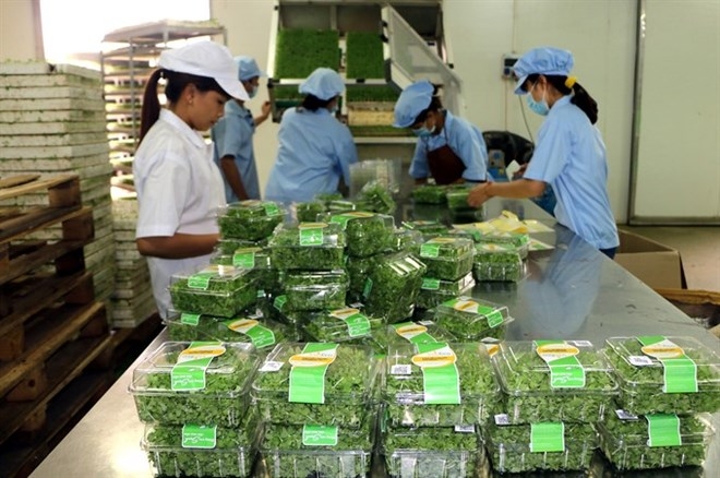 Agriculture sector targets 3% annual growth by 2020