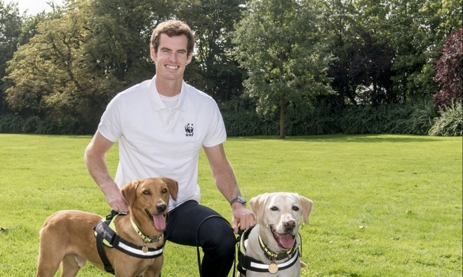 Tennis star Andy Murray signs WWF petition to end wildlife trade in Vietnam