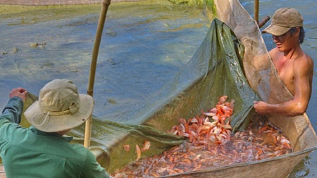 Aquaculture eyes int'l standards
