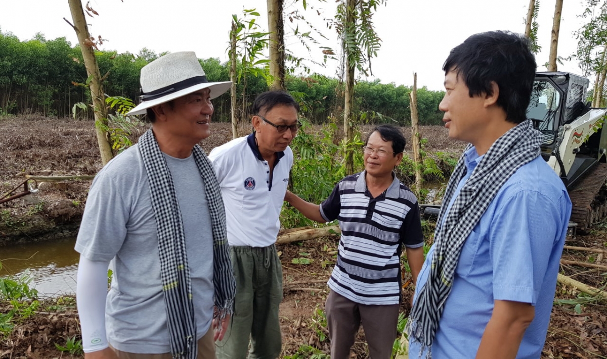 Man grows in-demand forest in Vietnam's Mekong Delta