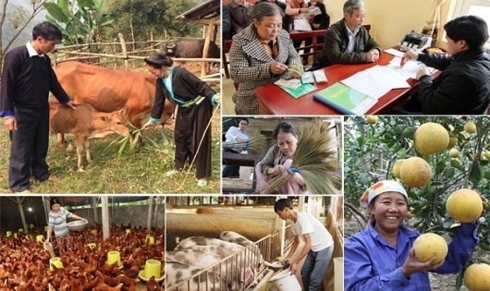 Spotlight falls on Vietnam’s poverty reduction rate
