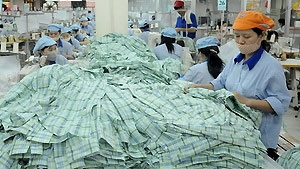 Vietnam prepares for CISG membership