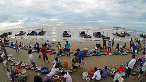 Hai Hoa Beach Fish Market early morning visit