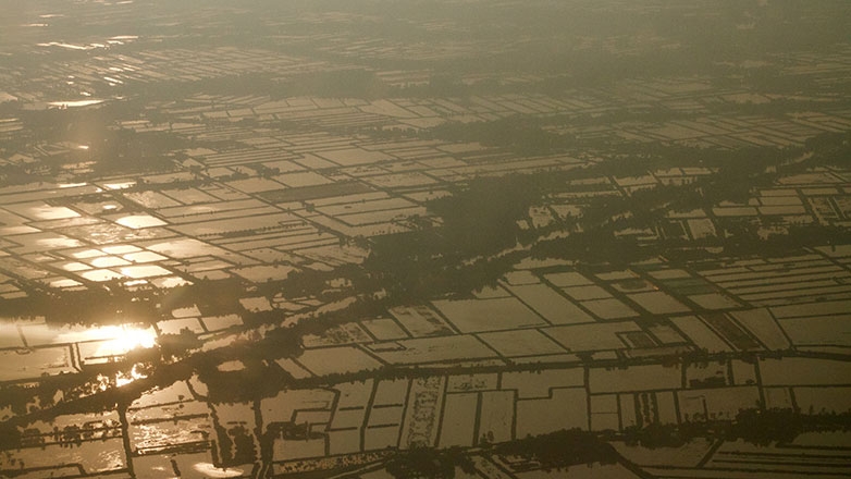 Climate change in Mekong Delta through pictures