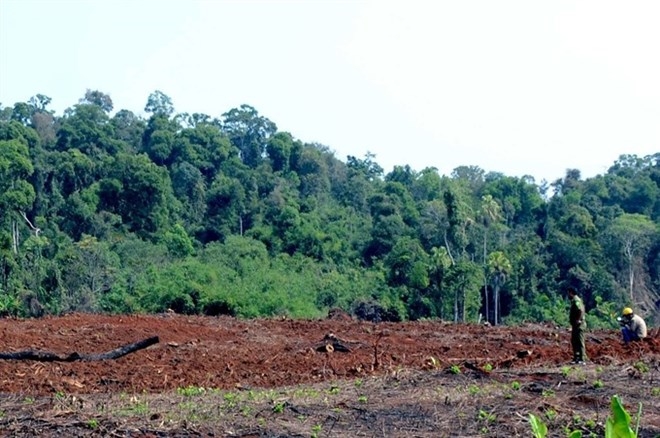 Community-based forest management the way forward