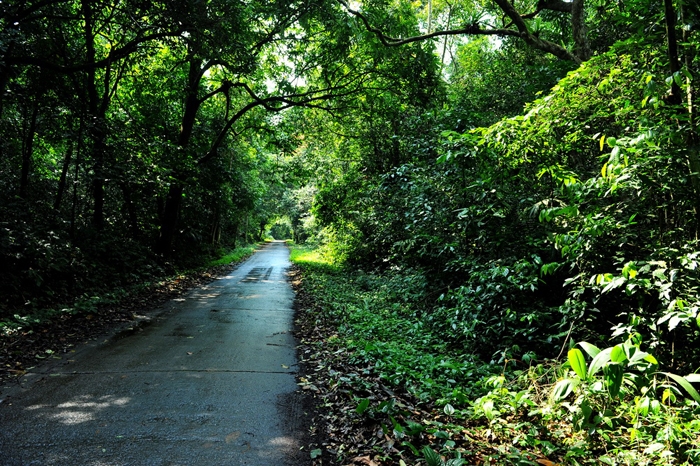 Summertime relaxation at Cuc Phuong National Park