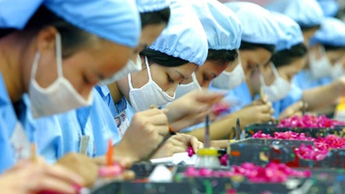 New Vietnamese companies reach record this year