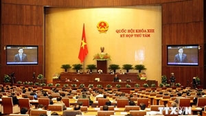 Transport Minister pledges to eliminate overloaded vehicles