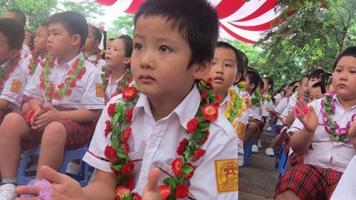 More Vietnamese raise voice against primary education reform