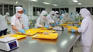 Exports fetch US$96.5 billion in nine months