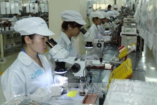 Foreign investment key to Vietnamese growth: experts