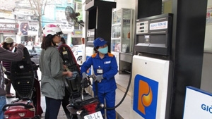 Further cut in petroleum prices announced