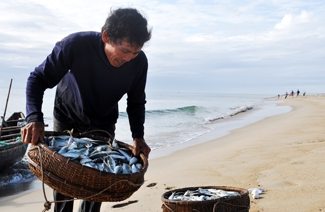 Fishing season in Quang Ngai