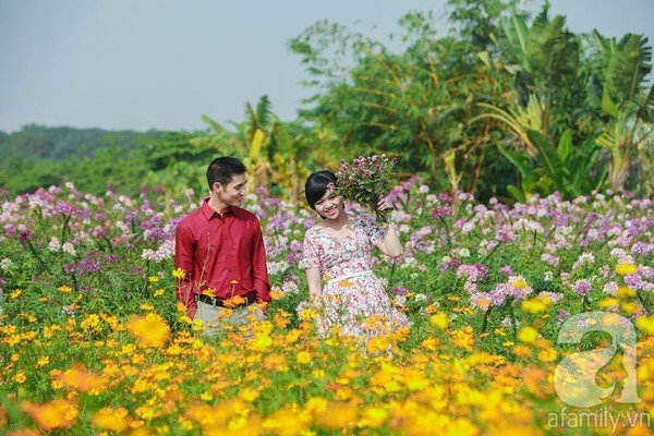 Flower gardens on Red River attract tourists in autumn