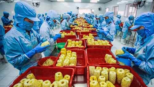 Vietnam exports surge, says GSO