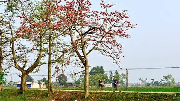 Peaceful village on Hanoi’s outskirts