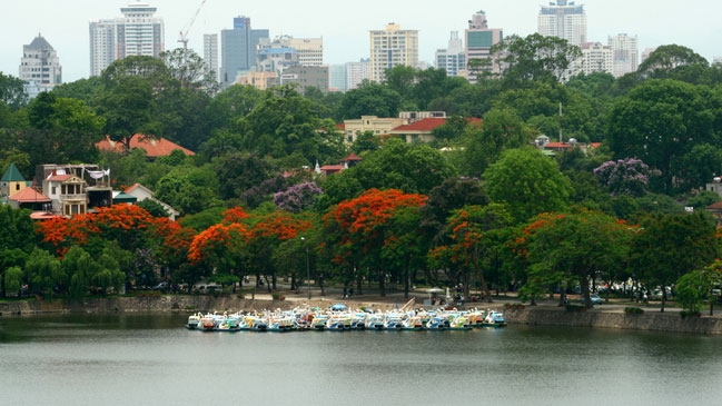 Green trees cast shadow on Hanoi streets