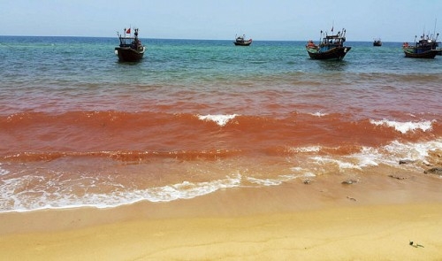 Sea turns red in Vietnamese province where fish died en masse