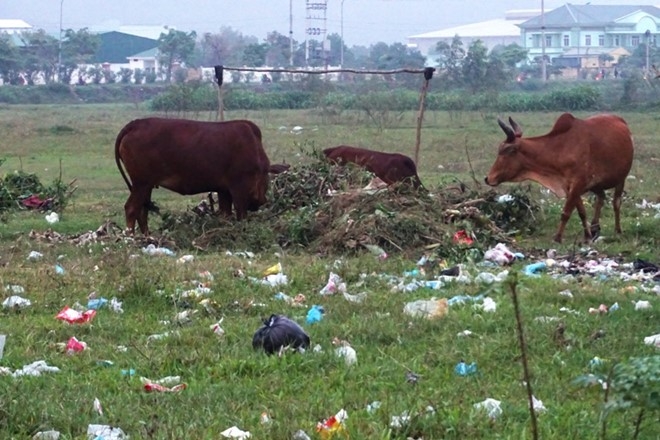 Mekong Delta: Many industrial zones built, but others left idle