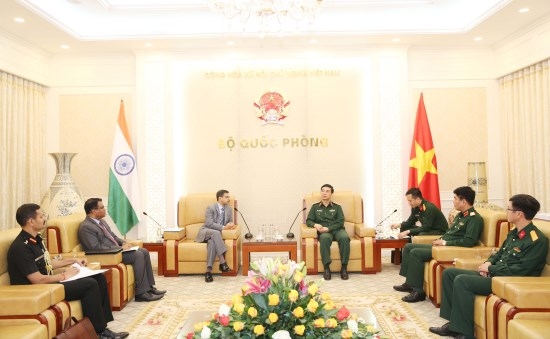 Vietnam, India strengthen defence links