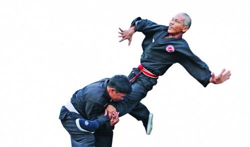 Meet the ‘encyclopedia’ of martial arts who favors Monkey Kung Fu