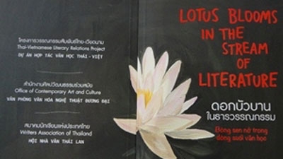 Literature collection published in three languages