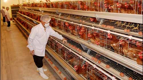 Binh Duong prioritises Dutch high-tech projects