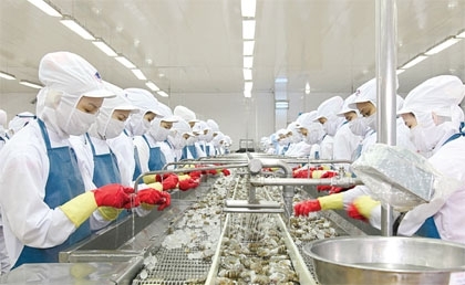 “King of Shrimp” ushers in eco-reforms