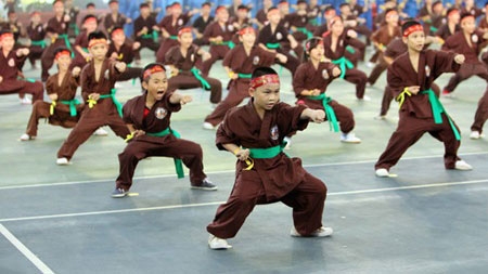 Martial arts fest kicks off in Hanoi