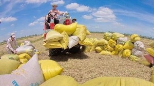 Mekong Delta’s competitiveness index improves