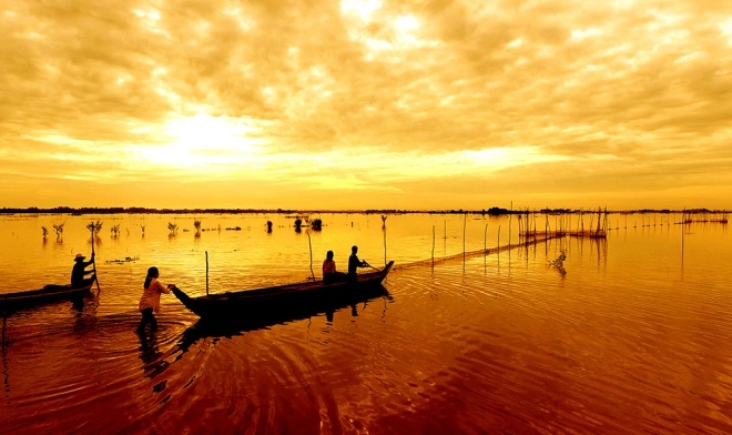 With no floods, Mekong Delta farmers suffer losses