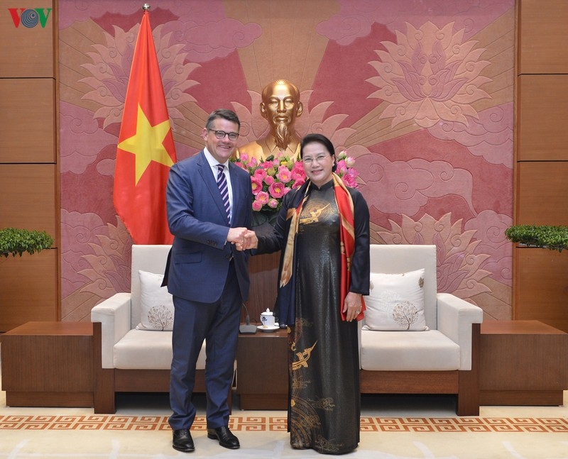NA Chairwoman sanguine about sound Vietnam-Germany ties