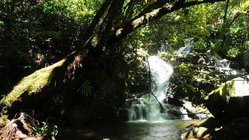 Back to nature at Bidoup Nui Ba park