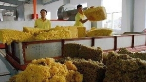 Vietnam’s PMI sees slight growth in early Q2