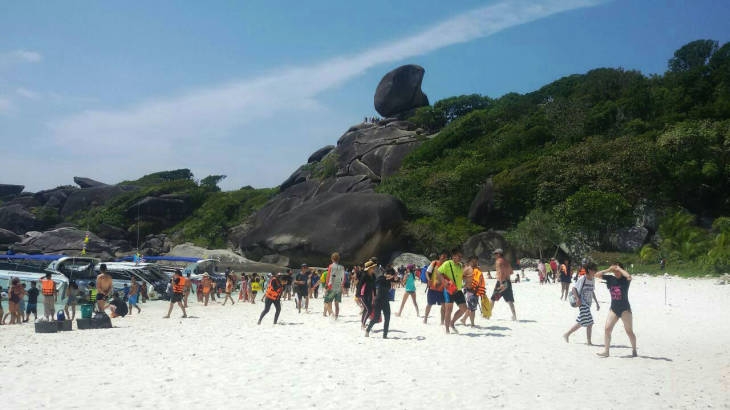 Similan Islands see highest revenue in 35 years