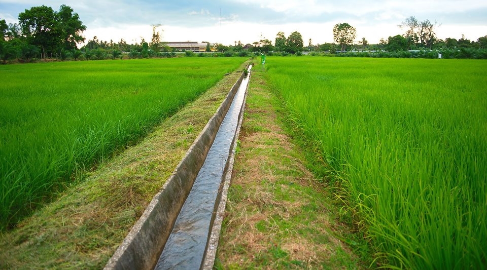 Agricultural sector geared toward Thailand 4.0