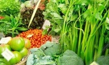 Ministry of Commerce to Push Thailand to Become a Leader in Organic Agriculture