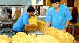 Rubber exports to earn US$4.5 billion this year