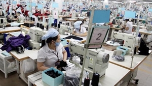 Tay Ninh workers receive help after Korean boss runs off