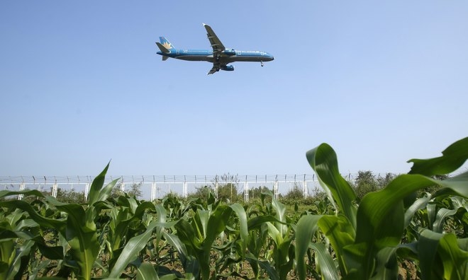 Vietnam Airlines earns US$78 mln gross profit, beats full-year target