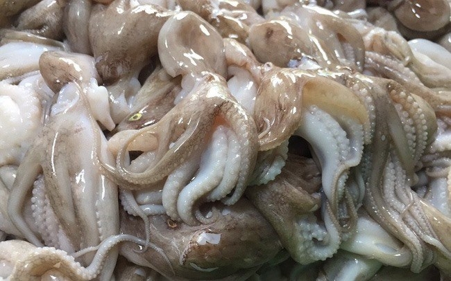 RoK largest export market for Vietnamese squid and octopus