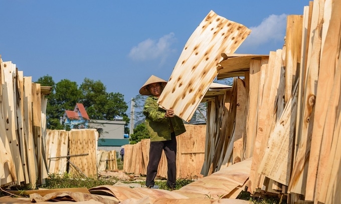 Vietnam suspects China hand in plywood export surge