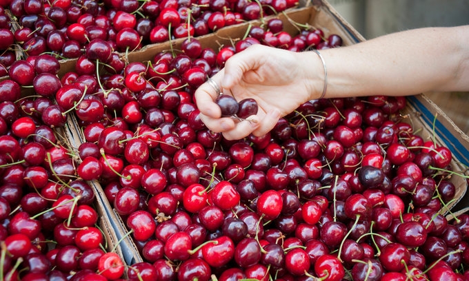 Vietnamese consumers enjoy some fruits of US-China trade spat